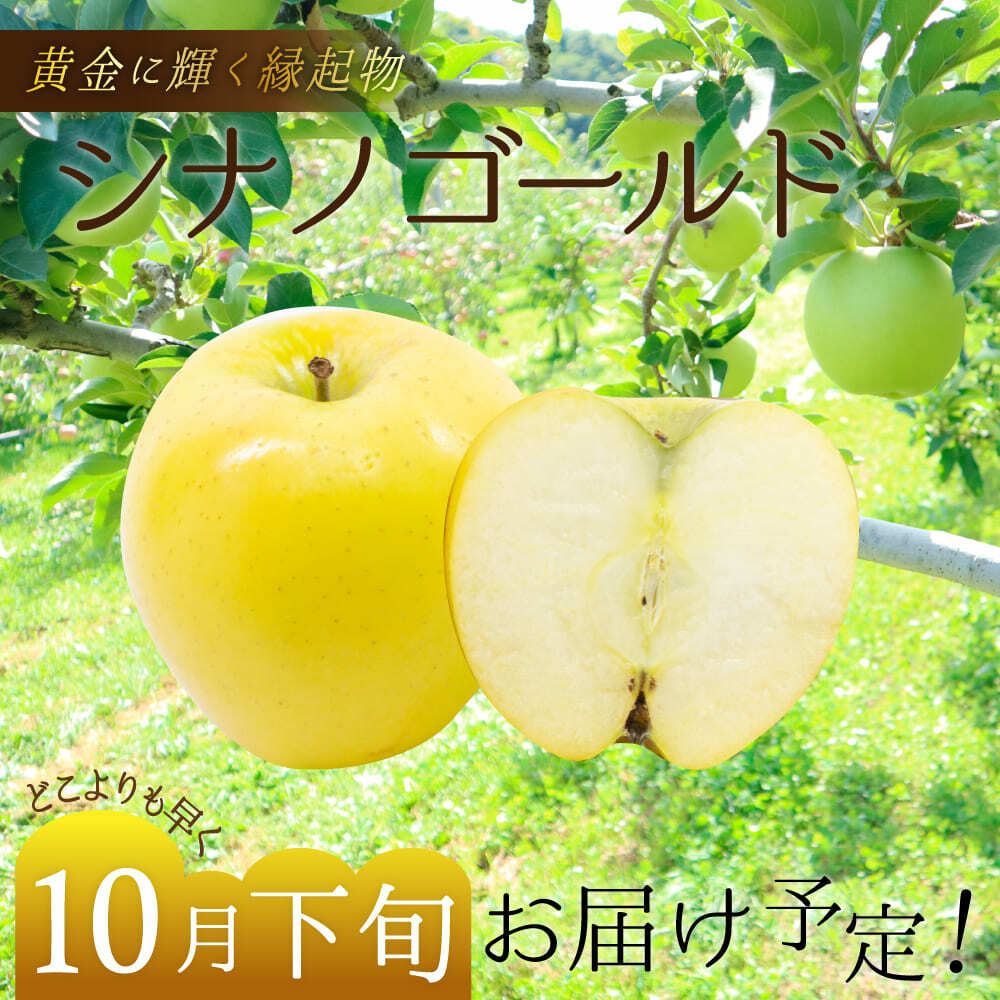 りんご リンゴ 送料無料 林檎 ringo 【 数量限定 】2022年産 青森県産りんご ご家庭用 訳あり シナノゴールド 5kg (約12玉〜25玉入り) 産地直送 工藤農園 おいしい ※ りんご酢 りんご箱 りんごジュース