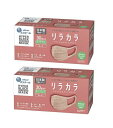【 2個セット 】ハイパーブロックマスク リラカラ ローズ ふつうサイズ 30枚入 PM2.5対応・99%カットフィルター