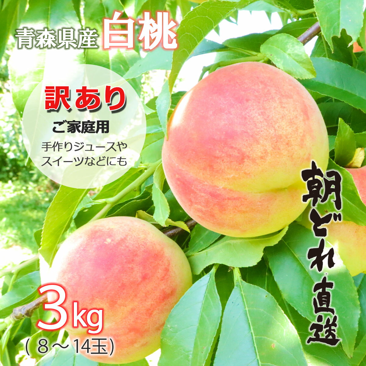 【先行予約 訳あり】桃 momo モモ 送料無料 白桃 家庭用 2026年 青森県産 約3キロ 朝どれ 直送 産地直送 訳あり ジュース スムージー用 規格外品...