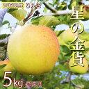 【星の金貨】りんご リンゴ 送料無料 林檎 ringo 数量限定 2025年産 青森県産りんご 青森りんご ご家庭用 訳あり 星の金貨 5kg (約16玉〜25...