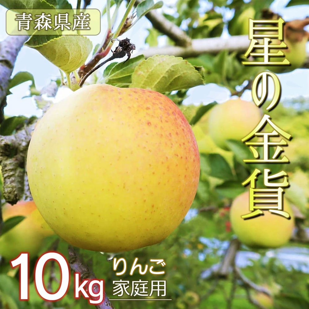 【ご家庭用 星の金貨】りんご リンゴ 送料無料 林檎 ringo 数量限定 2025年産 青森県産りんご 青森りんご ご家庭用 訳あり 星の金貨 10kg (約...