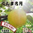 【先行予約】りんご リンゴ 送料無料 林檎 ringo 数量限定 2024年産 青森県産りんご 青森りんご ご家庭用 訳あり ぐんま名月 10kg (約32玉～50玉入り) 産地直送 工藤農園 おいしい 青りんご おすすめ 敬老の日