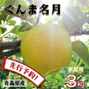 【先行予約 ご家庭用】 りんご リンゴ 送料無料 林檎 ringo 数量限定 2025年産 青森県産りんご 青森りんご ご家庭用 訳あり ぐんま名月 3kg (...