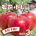 【先行予約 ご家庭用 弘前ふじ】 りんご リンゴ 送料無料 林檎 ringo 数量限定 2025年産 青森県産りんご ご家庭用 訳あり 弘前ふじ 3kg (約9...
