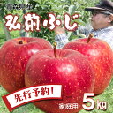 【先行予約 ご家庭用】 りんご リンゴ 送料無料 林檎 ringo 数量限定 2025年産 青森県産りんご ご家庭用 訳あり 弘前ふじ 5kg (約16玉〜25...