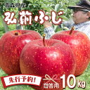 りんご 【先行予約】りんご リンゴ 送料無料 林檎 ringo 数量限定 2024年産 青森県産りんご 秀品 贈答用 弘前ふじ 10kg (約32玉～50玉入り) のし無料 産地直送 工藤農園 蜜入り ふじ おいしい おすすめ ギフト 贈り物 敬老の日