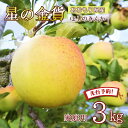 【先行予約 2025年産 星の金貨】りんご リンゴ 送料無料 林檎 ringo 数量限定 2024年産 青森県産りんご 青森りんご ご家庭用 訳あり 星の金貨 ...