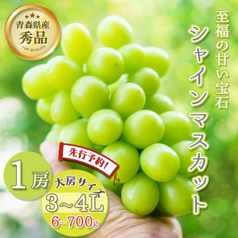 ぶどう 【2時間限定クーポン配布中】【先行予約 そのまま皮ごと食べられる】シャインマスカット 1房 約600～700g 秀品 3～4L 大房サイズ 贈答 青森県産 マスカット 種なし ぶどう 期間限定 数量限定 果物 くだもの フルーツ 贅沢グルメ お取り寄せ プレゼント ギフト 敬老の日