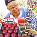 【先行予約 贈答用 サンふじ 】りんご リンゴ 送料無料 林檎 ringo 2025年産 青森県産りんご 家庭用 贈答用 サンふじ 3kg (約7玉〜14玉前後...