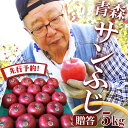 【先行予約 贈答用】 りんご リンゴ 送料無料 林檎 ringo 2025年産 青森県産りんご ご家庭用 贈答用 サンふじ 5kg (約12玉〜25玉前後) 産...