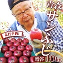 【先行予約】 りんご リンゴ 送料無料 林檎 ringo 2025年産 青森県産りんご ご家庭用 贈答用 サンふじ 10kg (約24玉〜46玉前後) 産地直送...