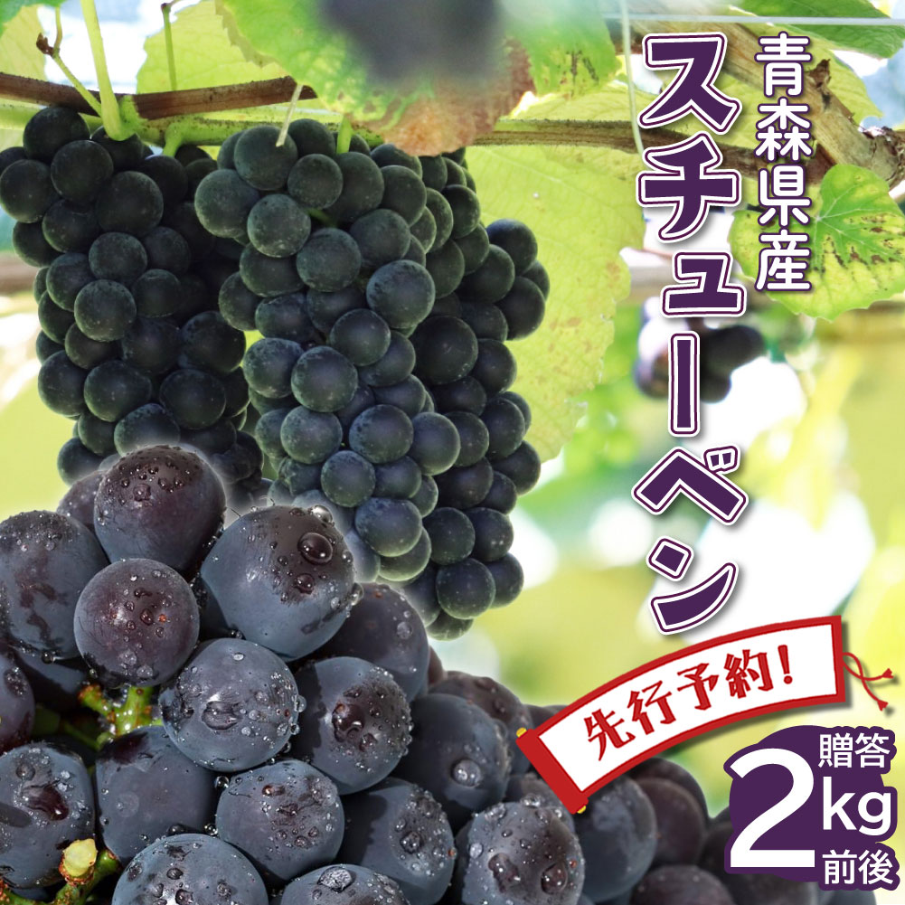 ぶどう 【先行予約】ぶどう ブドウ 2024年産 数量限定 青森県産 完熟 スチューベン 2kg 秀品 葡萄 ギフト プレゼント 贈答