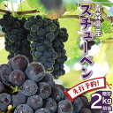 【ポイント2倍】【先行予約】ぶどう ブドウ 2024年産 数量限定 青森県産 完熟 スチューベン 2kg 秀品 葡萄 ギフト プレゼント 贈答