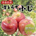 【先行予約 葉とらずふじ 贈答】葉とらず りんご リンゴ 林檎 ringo 2025年 青森県産 ふじ 蜜入り 贈答用 3kg 5kg 10kg 葉とらずふじ ...