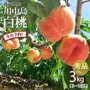 【先行予約 川中島 白桃 特秀】モモ 桃 momo 送料無料 川中島 白桃 秀品 2025年 青森県産 約3キロ 朝どれ 直送 産地直送 贈答 のし無料 お中元...