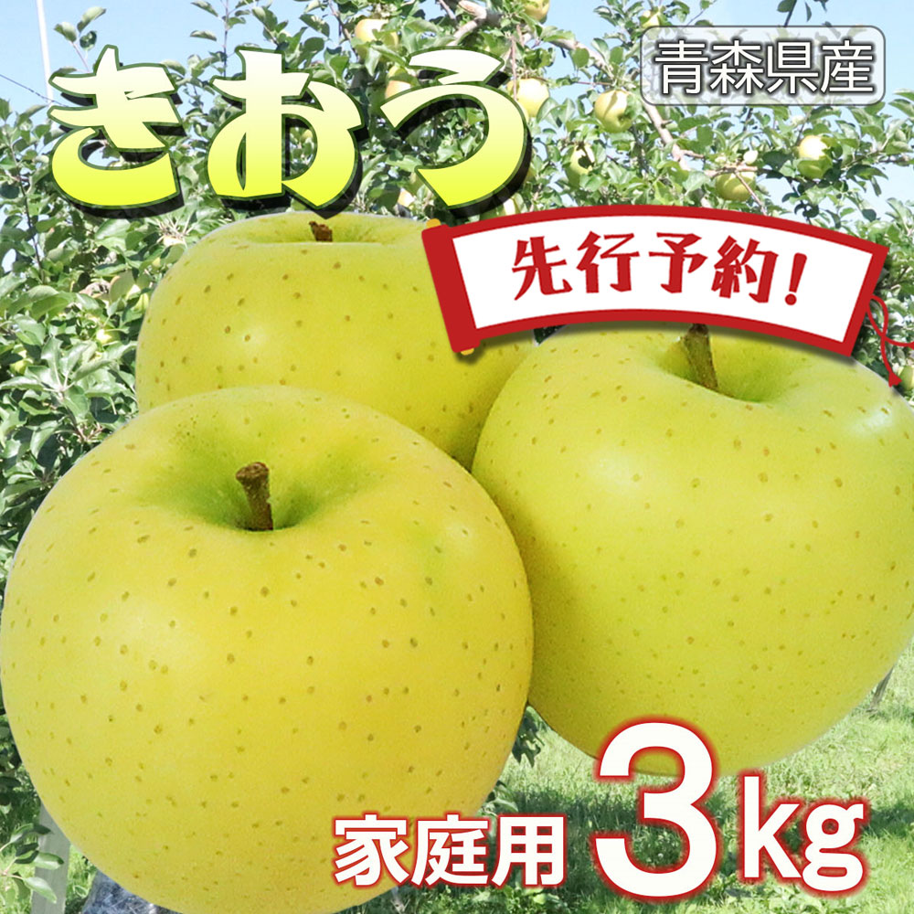 【 先行予約 】りんご リンゴ 送料無料 林檎 ringo 数量限定 2024年産 青森県産りんご 青森りんご ご家庭用 訳あり きおう 黄王 3kg (約9玉～12玉入り) 産地直送 工藤農園 おいしい 青りんご おすすめ 敬老の日