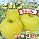 りんご リンゴ 送料無料 林檎 ringo 数量限定 2024年産 青森県産りんご 青森りんご ご家庭用 訳あり きおう 黄王 5kg (約16玉～23玉入り) 産地直送 工藤農園 おいしい 青りんご おすすめ 敬老の日