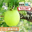 【先行予約】りんご リンゴ 送料無料 林檎 ringo 2025年産 青森県産りんご ご家庭用 訳あり 王林 10kg (約24玉〜50玉入り)産地直送 工藤農...