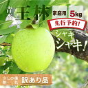 【先行予約 ご家庭用 王林】りんご リンゴ 送料無料 林檎 ringo 2025年産 青森県産りんご ご家庭用 訳あり 王林 5kg(約12玉〜25玉)産地直送...