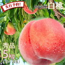 【先行予約 あかつき 白桃】桃 momo モモ フルーツ 果物 送料無料 白桃 秀品 川中島白桃 日川白鳳 あかつき 2025年産 青森県産 約5キロ 朝どれ ...