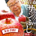 【先行予約】りんご リンゴ 送料無