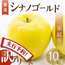 りんご リンゴ 送料無料 林檎 ringo 2024年産 青森県産りんご ご家庭用 訳あり シナノゴールド 10kg (約32玉～50玉入り) 産地直送 工藤農園 訳あり