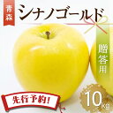 りんご 【先行予約】りんご リンゴ 送料無料 林檎 ringo 2024年産 青森県産りんご ご家庭用 贈答用 シナノゴールド 10kg (約28玉～40玉入り) 産地直送 工藤農園 ギフト