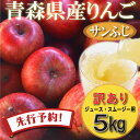 りんご リンゴ 送料無料 林檎 ringo 2024年産 青森県産りんご 加工用 訳あり サンふじ ジュース・スムージー用 約5kg (バラ詰め) 産地直送 工藤農園 ※ 10kg りんご酢 りんご箱 りんごジュース