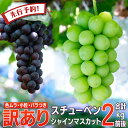 ぶどう ブドウ 2024年産 朝どれ 数量限定 青森県産 完熟 スチューベン シャインマスカット 合計 2kg 訳あり 朝どれ 葡萄 家庭用 甘い 食べ比べ セット