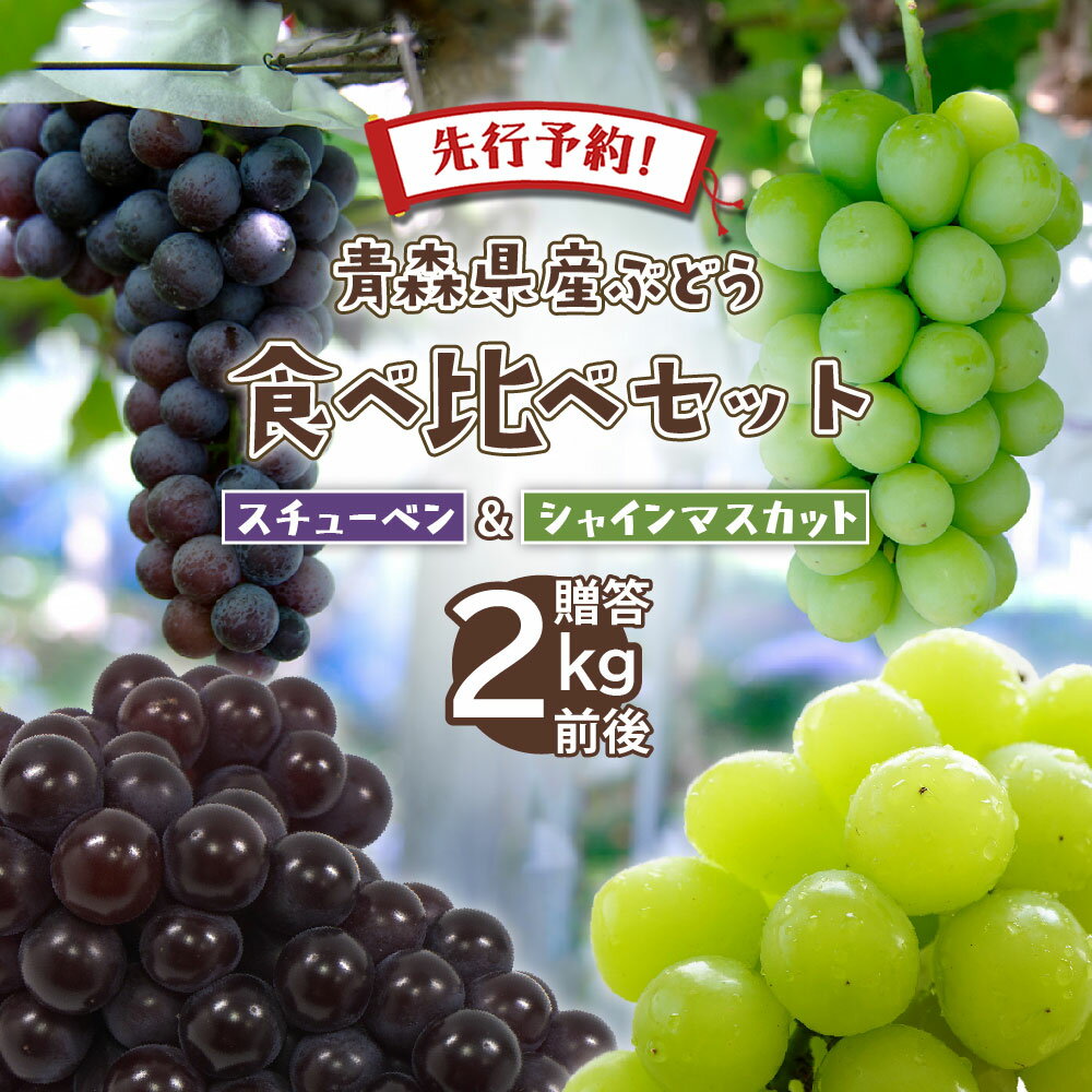 ぶどう 【エントリーで5倍★24時間限定クーポン配布】【先行予約】ぶどう ブドウ 2024年産 朝どれ 数量限定 青森県産 完熟 スチューベン シャインマスカット 合計 2kg 秀品 朝どれ 葡萄 ギフト プレゼント 贈答