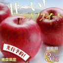 【先行予約】りんご リンゴ 送料無料 林檎 ringo 数量限定 2025年産 青森県産りんご ご家庭用 訳あり シナノスイート 3kg (約9玉〜12玉入り)...