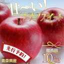 りんご 【先行予約】りんご リンゴ 送料無料 林檎 ringo 数量限定 2024年産 青森県産りんご 秀品 贈答用 のし無料 シナノスイート 10kg (約32玉～46玉入り) 産地直送 工藤農園 蜜入り おいしい おすすめ