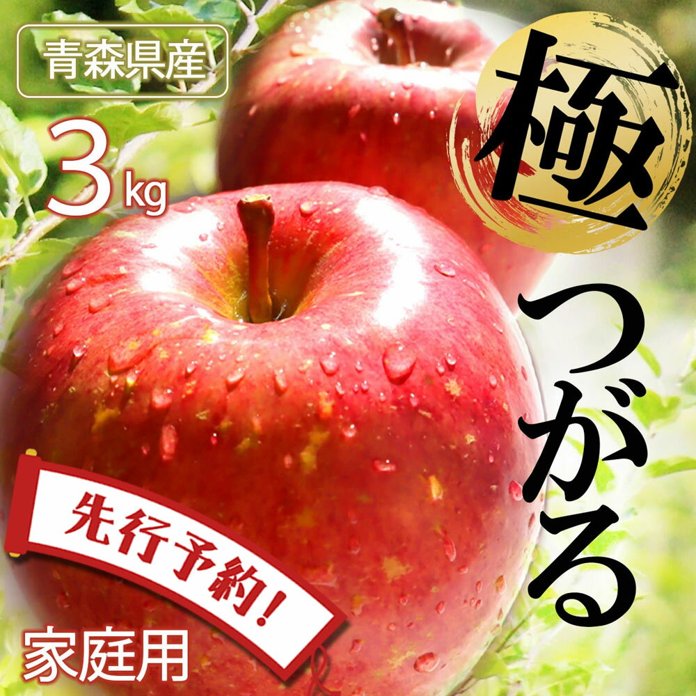 【 先行予約 】りんご リンゴ 送料無料 林檎 ringo 数量限定 2024年産 青森県産りんご ご家庭用 訳あり つがる 3kg (約7玉～12玉入り) 産地直送 工藤農園 蜜入り おいしい おすすめ 敬老の日