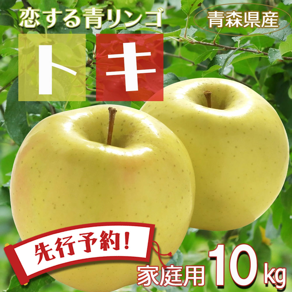 【2時間限定クーポン配布中】【 トキ 】りんご リンゴ 送料