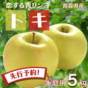【先行予約 訳あり とき 】りんご リンゴ 送料無料 林檎 ringo 数量限定 2025年産 青森県産りんご 青森りんご ご家庭用 訳あり トキ 5kg (約...