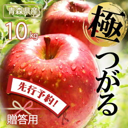 【 先行予約 】りんご リンゴ 送料無料 林檎 ringo 数量限定 2024年産 青森県産りんご 秀品 贈答用 のし無料 つがる10kg (約24玉〜48玉入り) 産地直送 工藤農園 蜜入り おいしい おすすめ 敬老の日