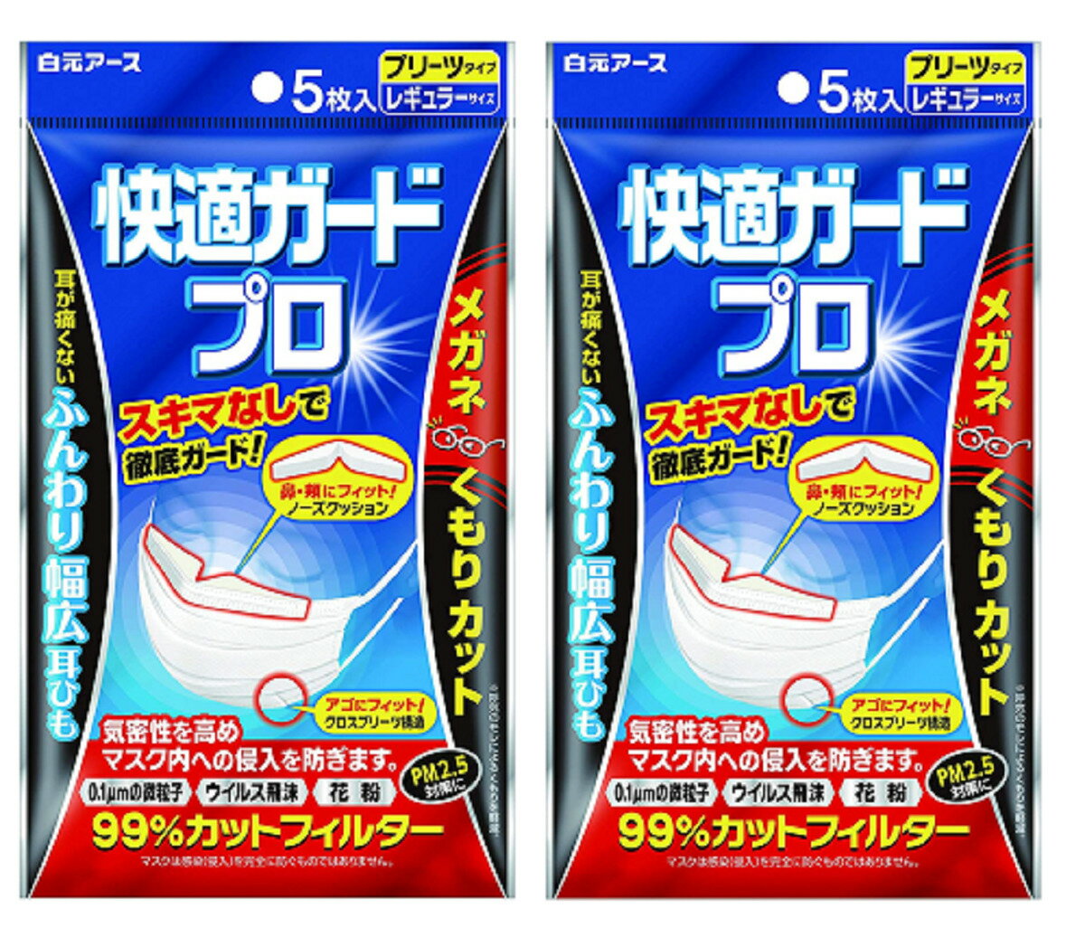 白元アース 快適ガードプロ マスク プリーツタイプ レギュラーサイズ 5枚入×2個セット