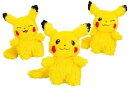【エントリーで4倍★24時間限定クーポン配布】WHO are YOU? ポケモン