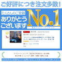 【エントリーで4倍★24時間限定クーポン配布】天蓋 カーテン 蚊帳 モスキートカーテン ブルー 星 夜 子供 モスキートネット 防蚊 ベッドカーテン メッシュ