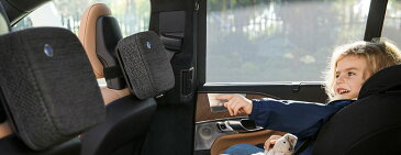ブルーエア 車載用 空気清浄機 花粉 Blueair Cabin P2i セダン ハッチバック タバコ煙 PM2.5 自動車用 500553