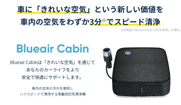 ブルーエア 車載用 空気清浄機 花粉 Blueair Cabin P2i セダン ハッチバック タバコ煙 PM2.5 自動車用 500553
