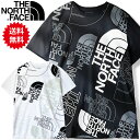 TheNorthFace ノースフェイス Tシャツ メンズ 半袖 ボックスロゴ THE NORTH FACE Graphic Injection Tee ビッグtシャツ ロゴtシャツ ノースフェイスTシャツ レディース 半袖Tシャツ 大きいサイズ 大きい 黒 ブラック 白 ホワイト NF0A7UOK グラフィック インジェクション