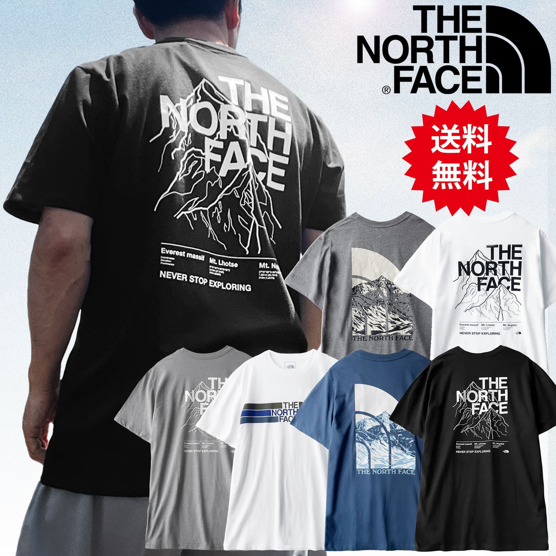 Ρե T Ⱦµ Хåץ ܡ ȥ饤   ֥ THE NORTH FACE Graphic T...