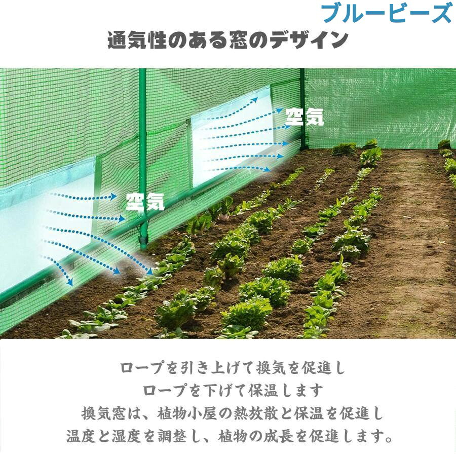 ブルービーズの【P20限定】ビニールハウス ビニール温室 大型 PE温室 家庭菜園温室 ウォークインガーデン ガーデニング温室 盆栽 バルコニー 庭 テラス 野菜畑 菜園 簡易温室 耐久性 抗UV｜アングル3