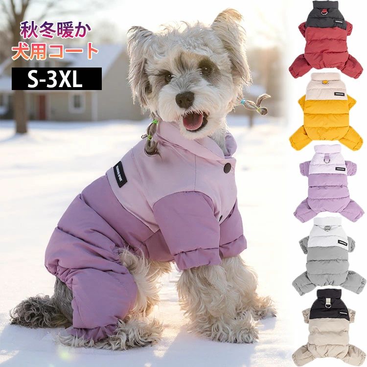 ���� ������٥��� �� �� �� ������ �� �� ������ �ɥå������� ���㥱�å� ������ ���� ������ �ɴ� �� ���� �Ϥÿ� �� �� �� �� ����