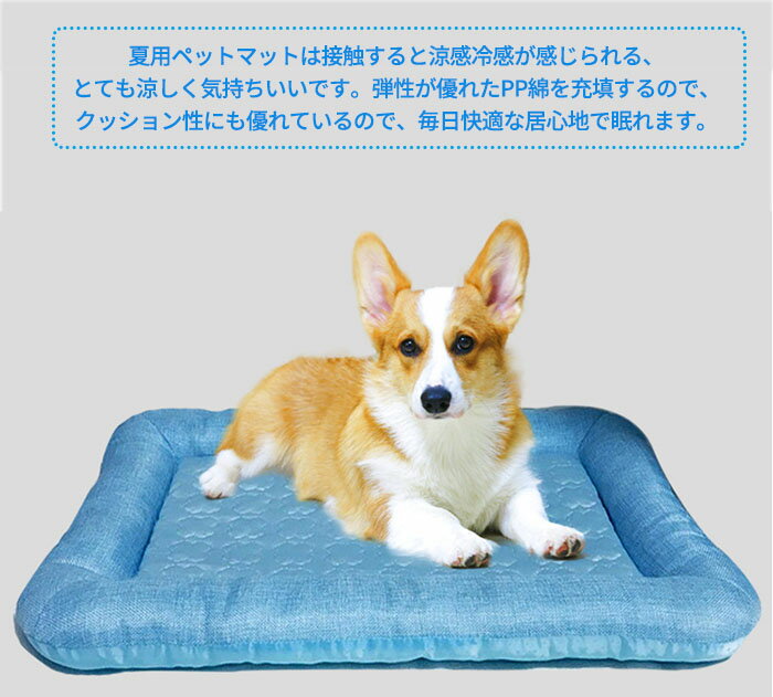 サンプル画像3