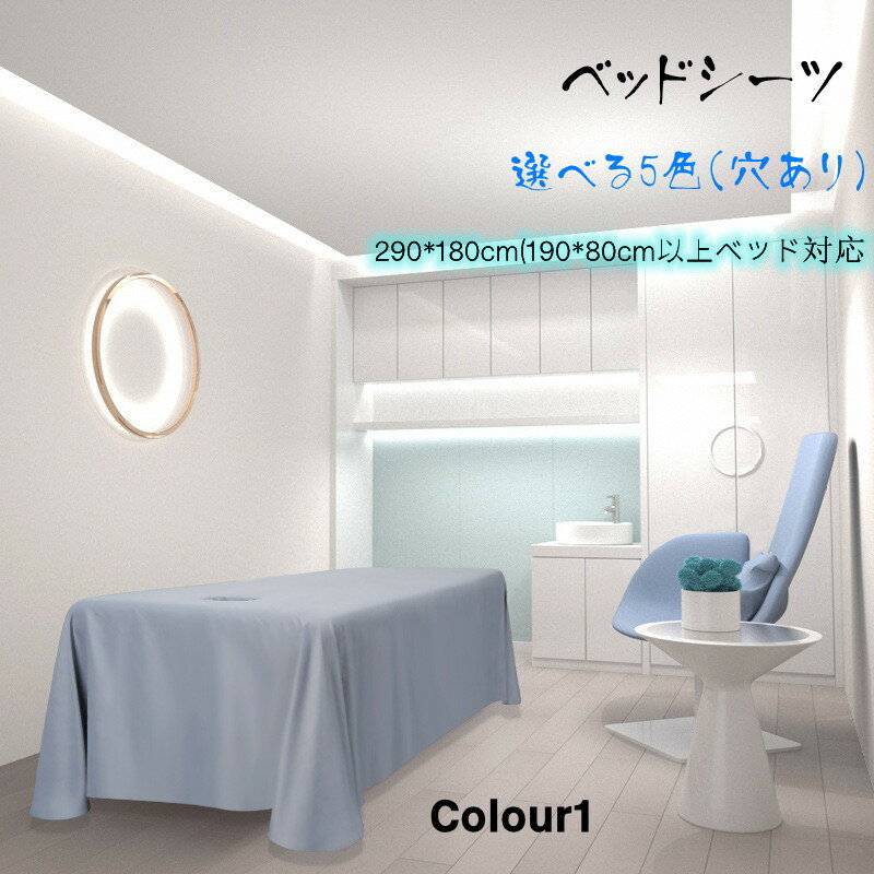 サロン ベッド カバー マッサージ シーツ エステベッド サロン【楽天1位】 有孔 290x180cm 呼吸穴付き ..