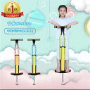 【楽天1位】バランスホッピング スポーツ玩具 ラングス ラングスジャパン スポーツトイ キッズ 子供 子ども 誕生日 ギフト プレゼント お祝い 男の子 女の子...