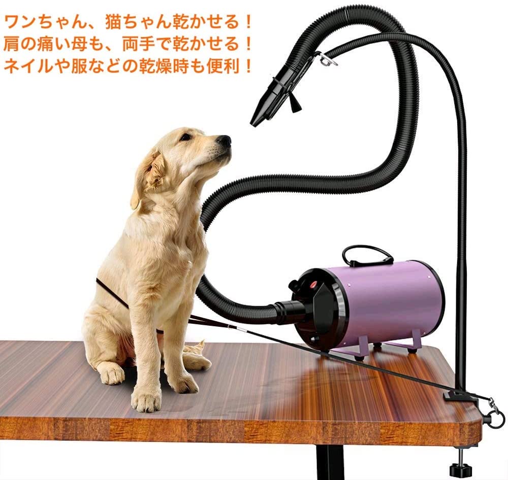 ブルービーズの【P20限定】ドライヤーホルダー ドライヤースタンド くるくる スタンド 犬 猫 ペット用 ペット用品 ランキング ト｜アングル3