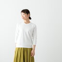 (メール便OK) gicipi ジチピ コットン クルーネック 7分袖 Tシャツ ザッフィーロ ZAFFIRO 4色 2115P